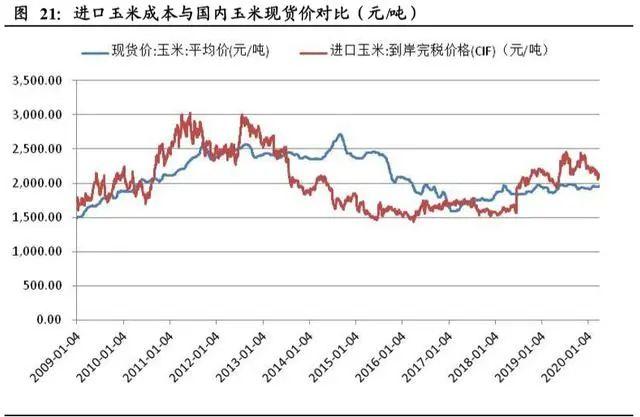 玉米保护价政策最新动态，保障农民利益，推动农业可持续发展