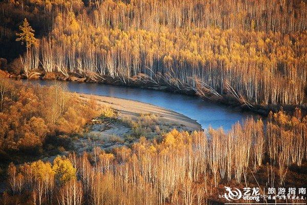 金山屯贴吧最新消息概览，聚焦热点话题