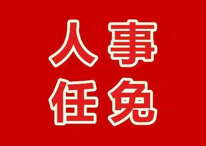 大碶街道人事任命揭晓，开启发展新篇章