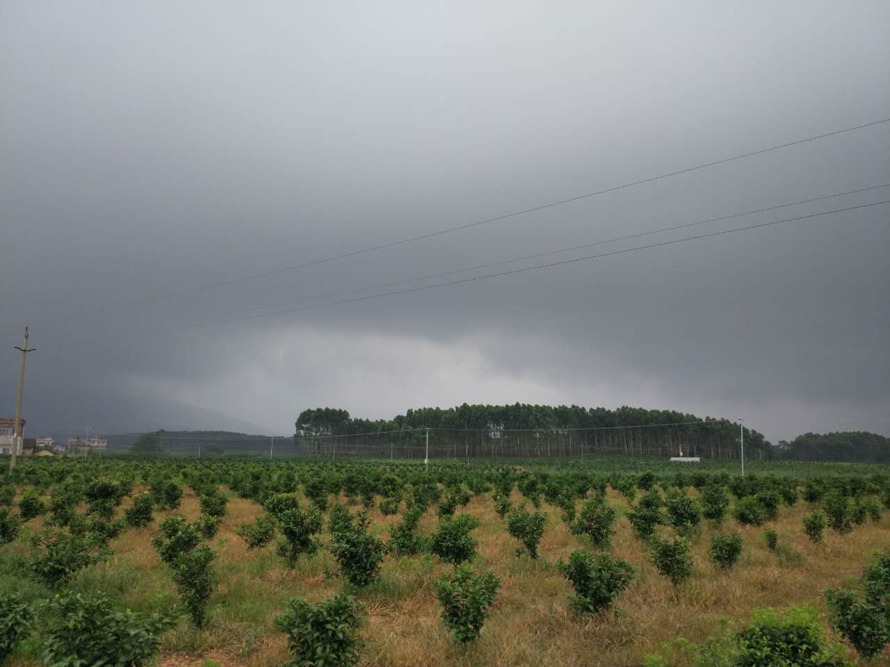 谢果村今日天气预报