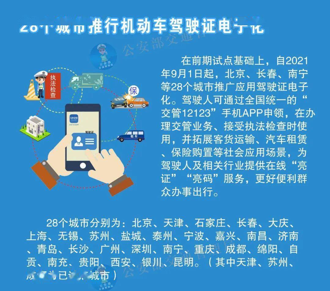 新澳门精准资料大全管家婆料,实践调查解析说明_进阶款65.181