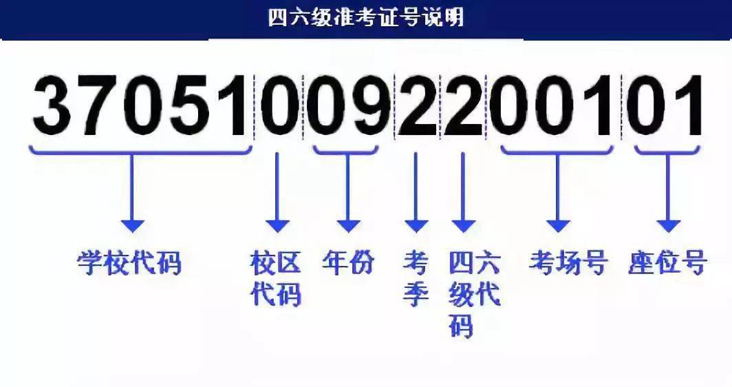 77778888管家婆的背景,迅捷解答策略解析_X87.913