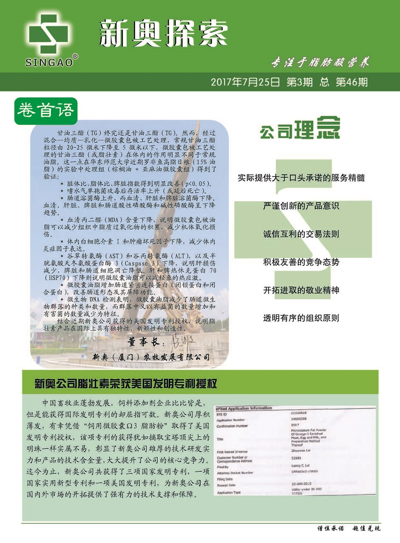 新澳2024年精准正版资料,创新性方案设计_V215.127