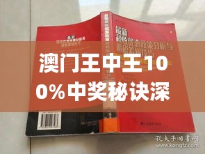 新澳门王中王100%期期中,诠释解析落实_VE版11.580