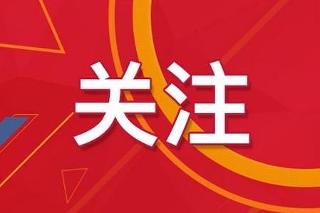 2024新澳门精准免费大全,最新热门解答落实_粉丝版62.498