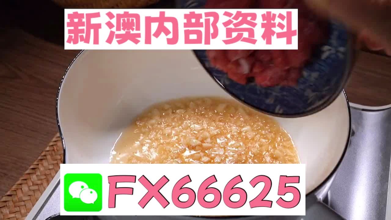 新澳门24码中特精准,权威解读说明_体验版63.474