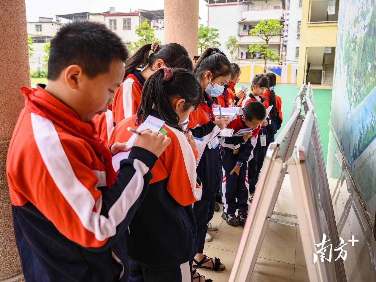 蕉岭县小学最新项目，教育革新的未来之旅