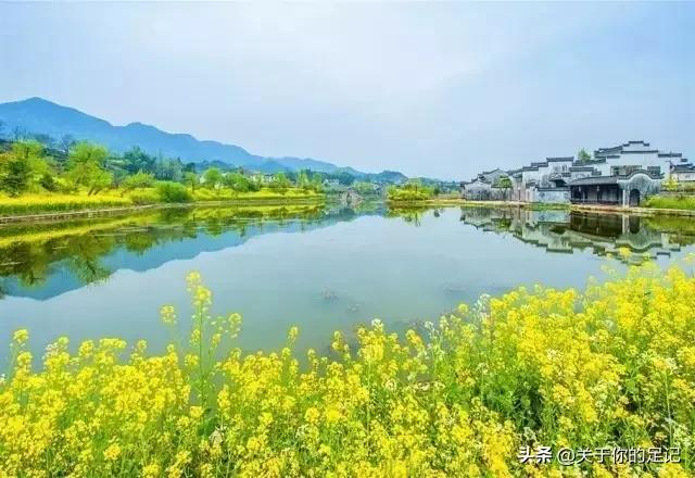 水堤村，最新发展动态与社区新貌报道