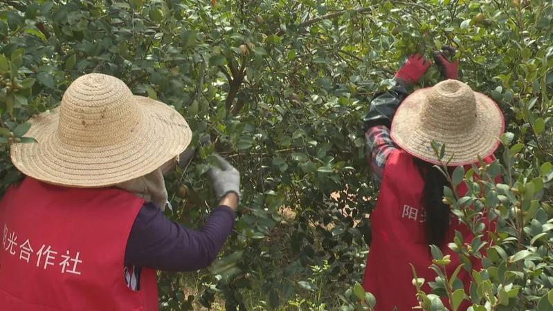 结多乡最新发展规划概览