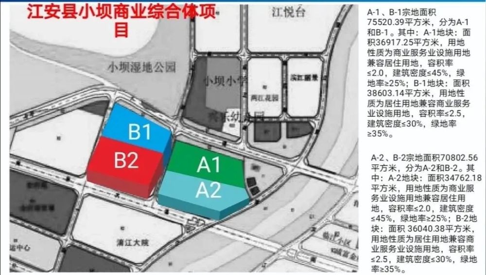 江安县数据和政务服务局最新发展规划深度解析