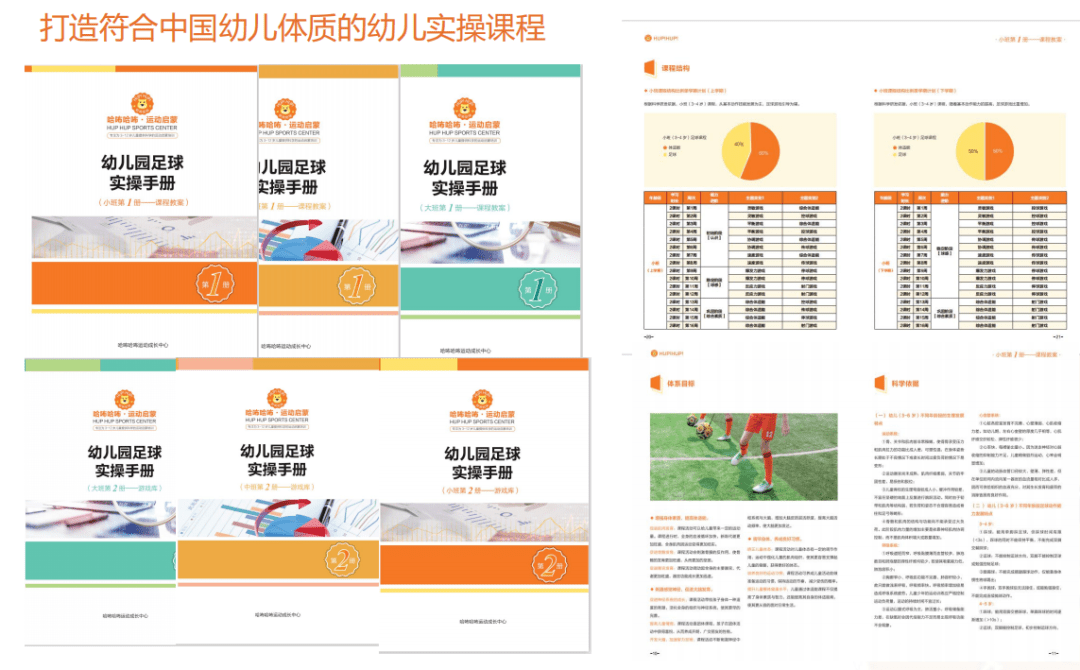 2024年澳门天天彩正版免费大全,系统化策略探讨_运动版25.137