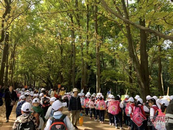 昆明市社会科学院新项目，探索发展之道