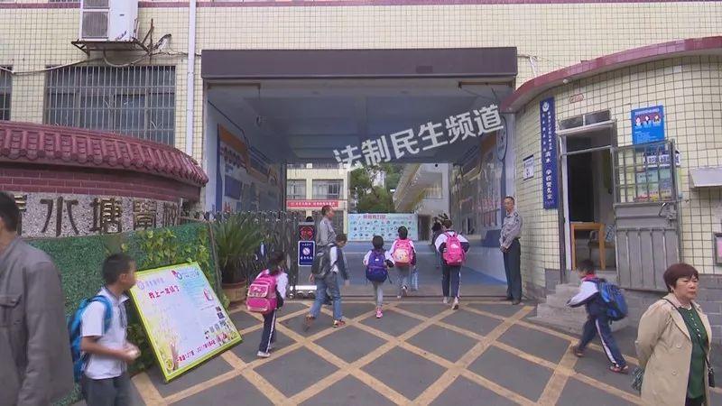 石峰区小学未来教育蓝图发展规划揭秘