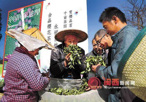 漳平市科技局领导团队前瞻领导亮相