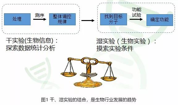 澳门正版精准免费大全,实际解析数据_动态版23.250