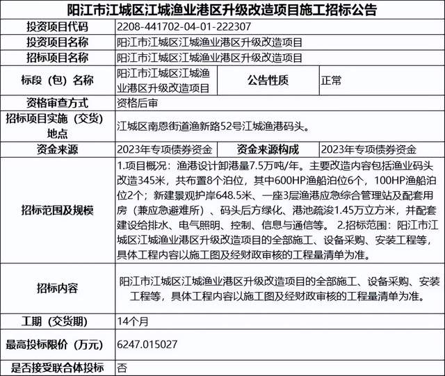 江东区数据和政务服务局最新发展规划深度探讨