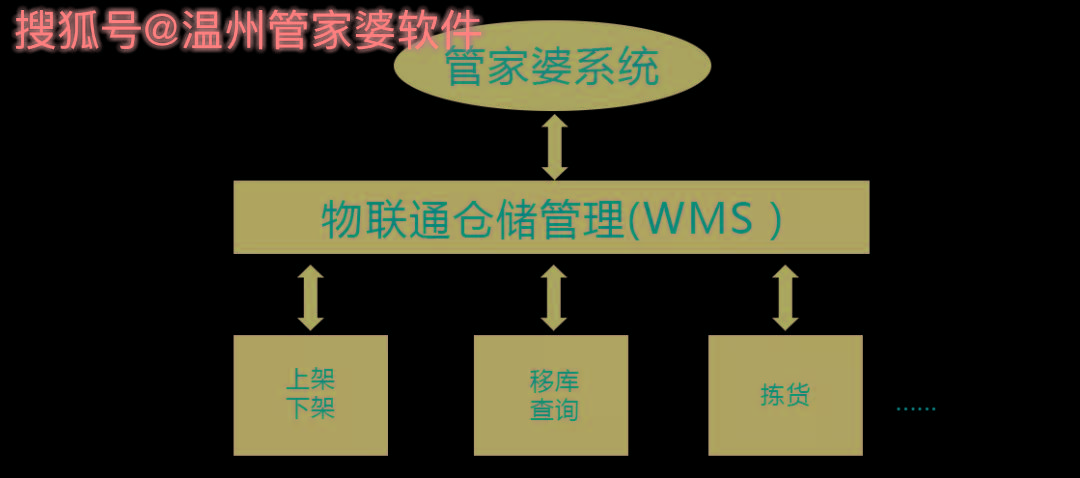 管家婆一肖一码温州纳,深入数据应用执行_1440p63.226