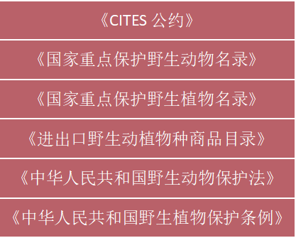 2024澳门正版资料大全免费大全新乡市收野区,最新正品解答落实_领航版63.579