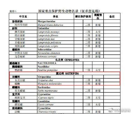 一码一肖100%的资料,专家解析意见_DP44.209