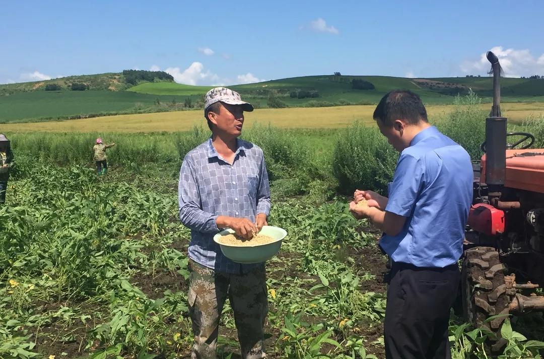 嫩江县级公路维护监理事业单位最新项目概览