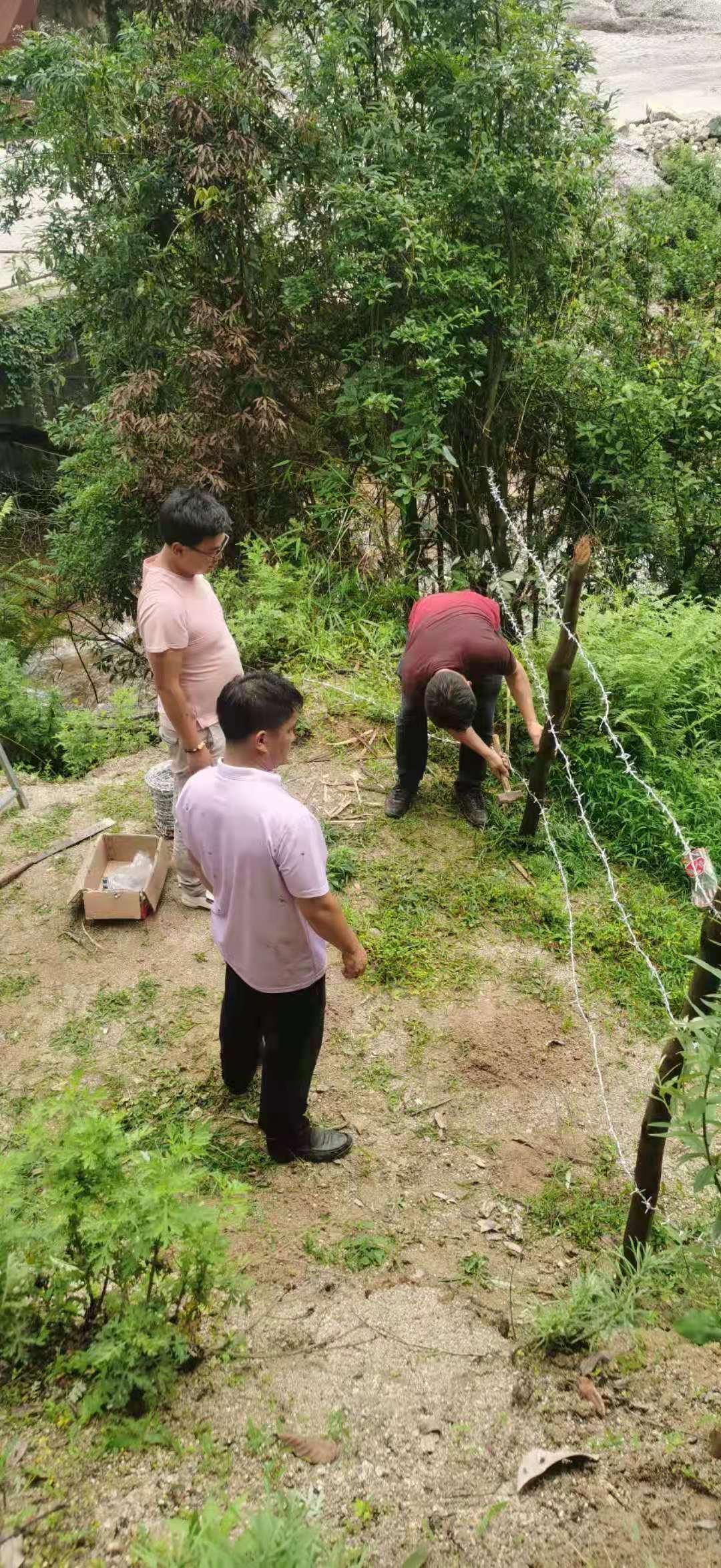 落水镇未来繁荣蓝图，最新发展规划揭秘