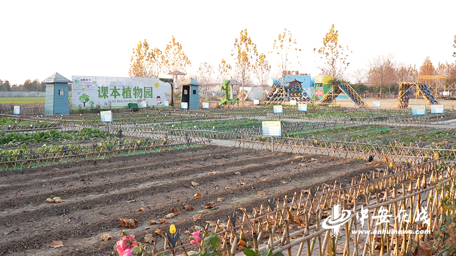 荣光农场最新交通新闻