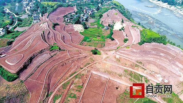 庙坝镇新项目，引领地区发展的强大动力源泉