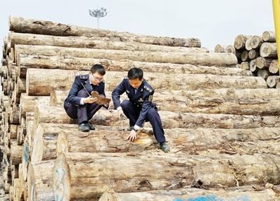 太仓市市场监督管理局最新领导团队概述