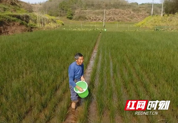 柞市镇新项目，引领地区发展的强大新动力