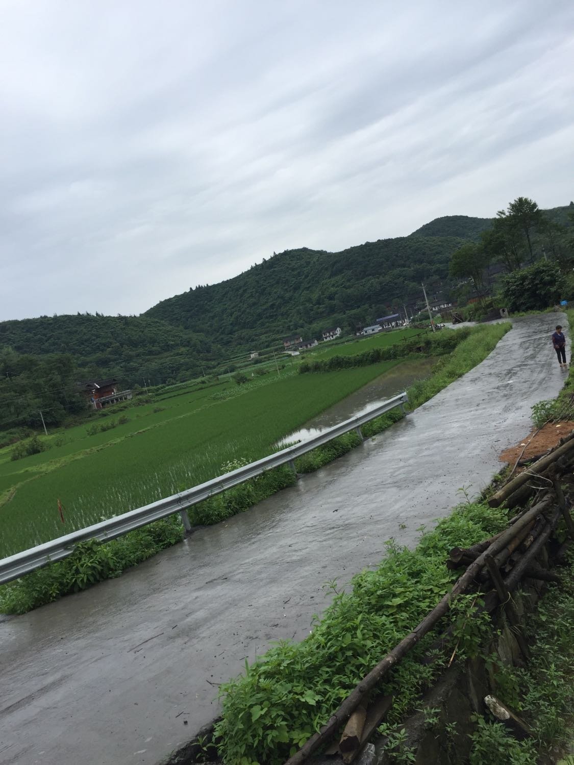 游龙村委会天气预报更新通知