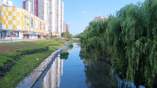 洸河街道天气预报更新通知