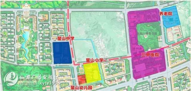 鲤城街道最新项目，先锋力量引领城市发展